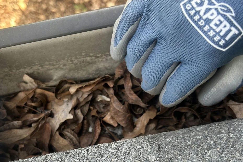 Wenham Gutter Cleaning
